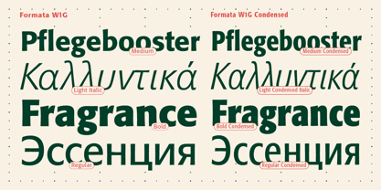 Formata W1G Font Poster 5